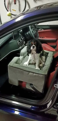 22inch seat_too big.webp