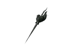 black-scorpion-stinger-lg.webp