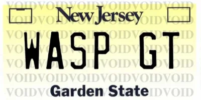 wasp_gt.webp