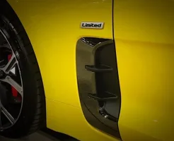 Stinger.limited.webp Stinger.limited.webp