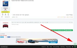 top.webp