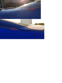 right vs left.webp