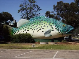 640px-Big_MurrayCod_SwanHill.webp