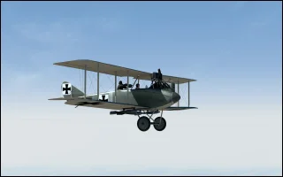 dfw c.5.webp