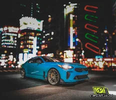 STINGER-VISTA-FRONTAL.webp