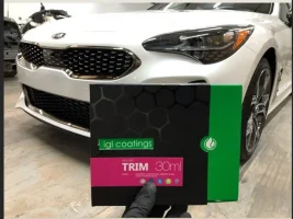IGLTrim.webp