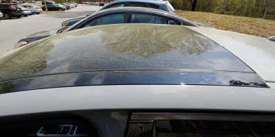 20190408_124747_HDR.webp