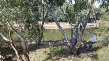 20190425_131802.webp