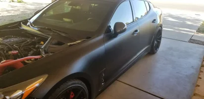 shiny_booty.webp