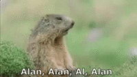 029A4FDC-E71A-4152-A4C4-E78399B138E9.gif