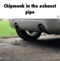 7113B6D3-7C88-4E3B-8EF0-3D170A274B09.gif