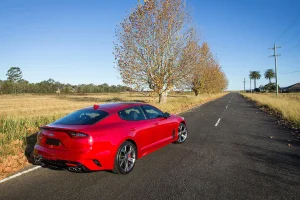 Stinger-005-web.webp