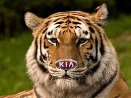 tiger.webp