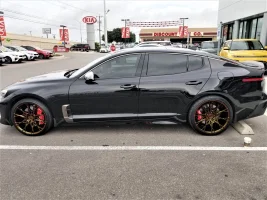 gold-rims.webp