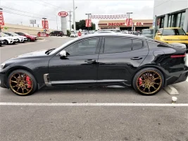 gold-rims2.webp