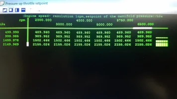 62340828_1730059240430346_3935700325435965440_n.webp