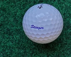 Stinger Golf Ball.webp
