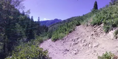 Alpine trail.webp Alpine trail.webp