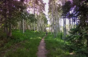 aspen cathedral july19.webp