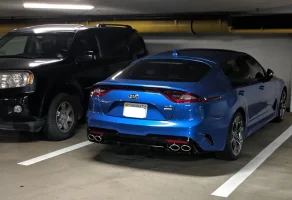 reston_stinger.webp