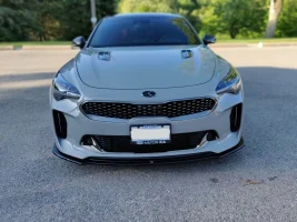 Stinger front lip.webp