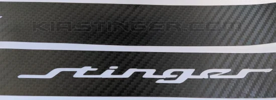glossy-carbon-side-reflectors-stinger-1.webp glossy-carbon-side-reflectors-stinger-1.webp