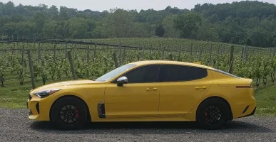 winery2.webp