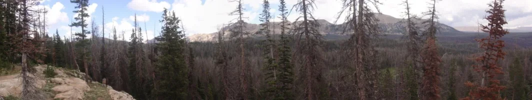 uintas looking north-east hayden peak.webp