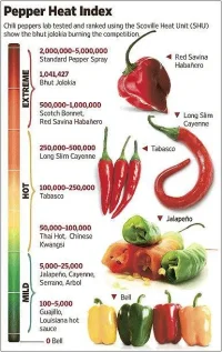 chili.webp