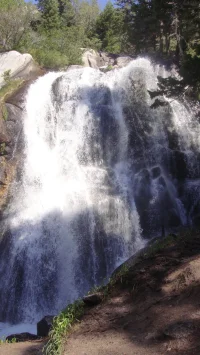 DSC08109.webp