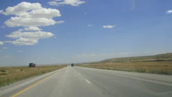 DSC08135.webp