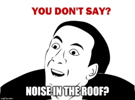 You Dont Say Noises in the roof.webp
