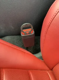Seat belt.webp