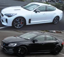 Stinger & Polestar.webp Stinger & Polestar.webp