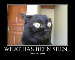 cannot_be_unseen.webp