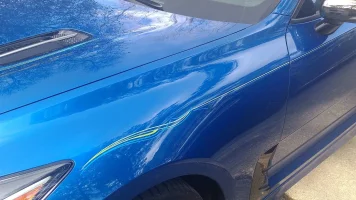 pin stripe L frt fender.webp