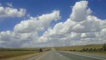 DSC08312.webp