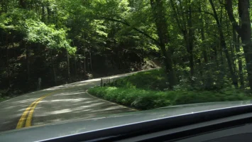 DSC08224.webp
