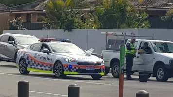 police stinger.webp