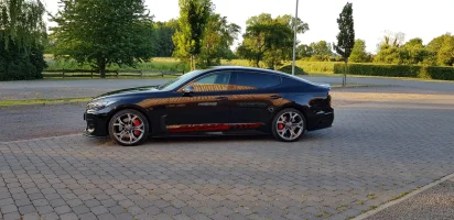 sting7c.webp sting7c.webp