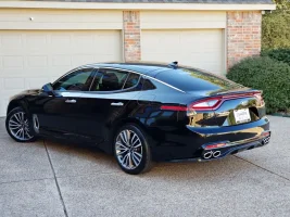 2019 StingerResized.webp 2019 StingerResized.webp