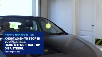 tennis ball.webp
