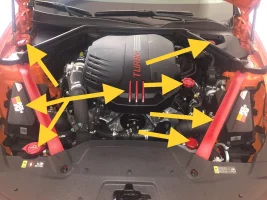 2E74C21D-2A8D-41C1-B15D-B7AAD193BF8A.webp 2E74C21D-2A8D-41C1-B15D-B7AAD193BF8A.webp