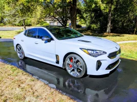 Waxed Stinger.webp