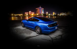 22424578579_192c4ae854_k.webp
