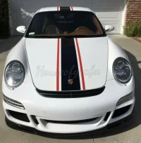 racing stripes.webp
