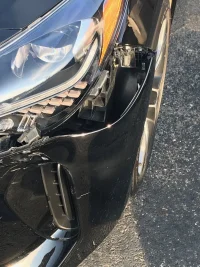 Stinger fender.webp