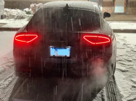 Inkedstinger 4_LI.webp