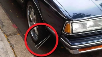 curb.webp