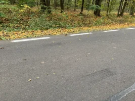 IMG_7483.webp IMG_7483.webp